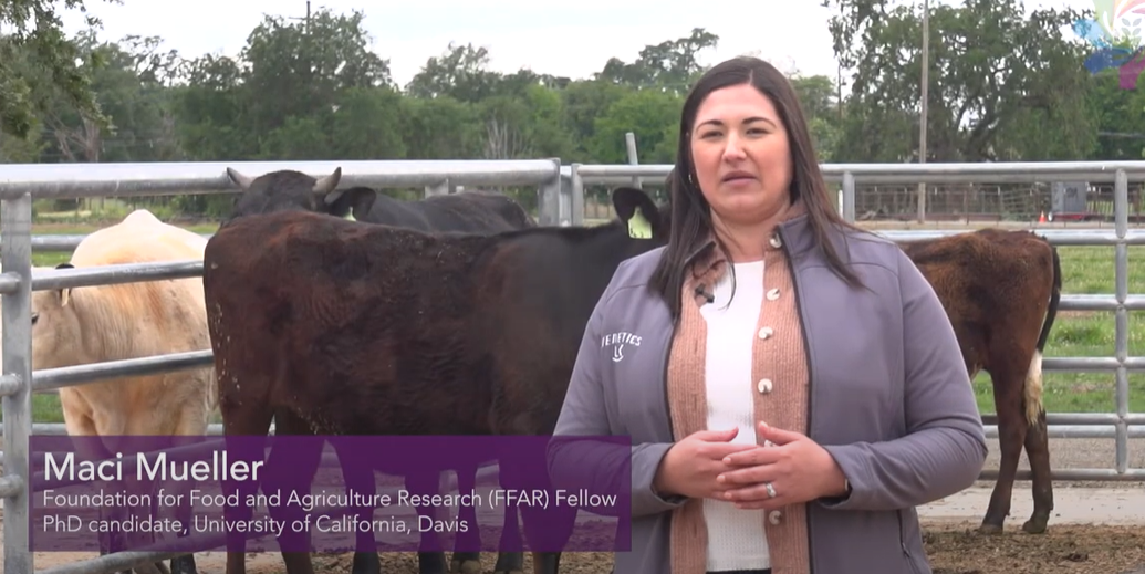 Maci Mueller: Pioneering Revolutionary Changes in Livestock Breeding Through Gene Editing